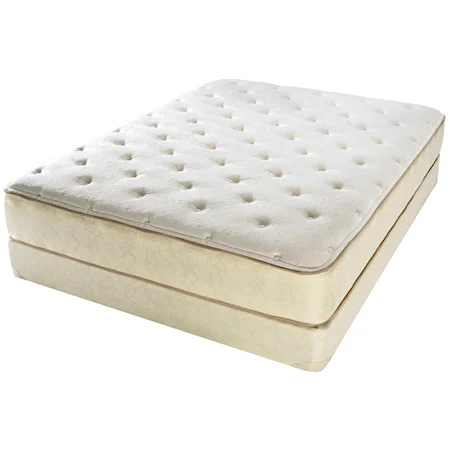 Queen Plush Mattress